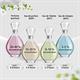 Juicy Couture Couture Couture Eau de Parfum 100ml Spray-4