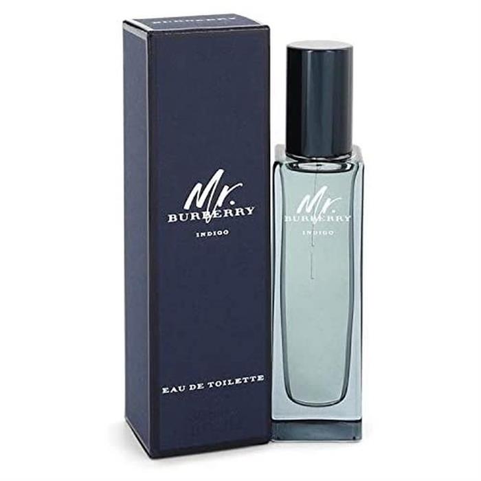 Burberry Mr. Burberry Indigo Eau de Toilette 30ml Spray-0