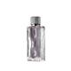 Abercrombie & Fitch First Instinct Eau de Toilette 100ml Spray-2