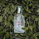Tommy Hilfiger Tommy Girl Eau de Toilette 50ml Spray-4