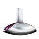 Calvin Klein Euphoria Eau de Parfum 100ml Spray-1