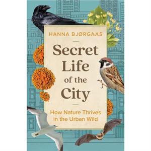 Secret Life of the City by Hanna Hagen Bjrgaas