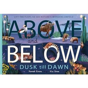 Above and Below Dusk till Dawn by Harriet Evans