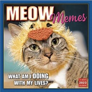 MEOW MEMES by SELLERS PUBLISHING