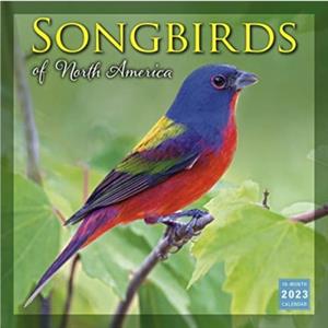 SONGBIRDS OF NORTH AMERICA by SELLERS PUBLISHING