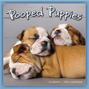 POOPED PUPPIES by SELLERS PUBLISHING