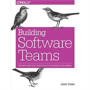 Building Software Teams by Zeeger Lubsen