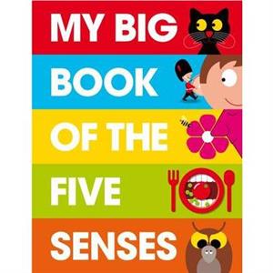 My Big Book of the Five Senses by Patrick George