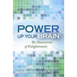 Power Up Your Brain by Alberto Villoldo