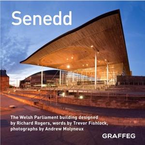 Senedd by Trevor Fishlock