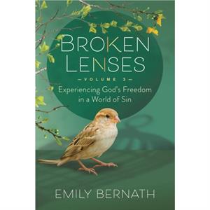 Broken Lenses Volume 3 by Emily Bernath