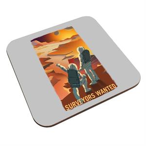 NASA Surveyors Wanted Coaster