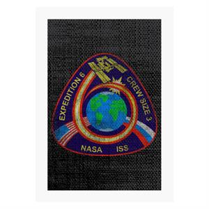 NASA ISS Expedition 6 STS 113 Mission Badge Distressed A4 Print