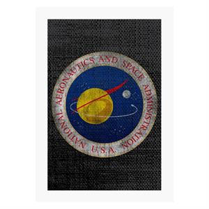 NASA Seal Insignia Distressed A4 Print