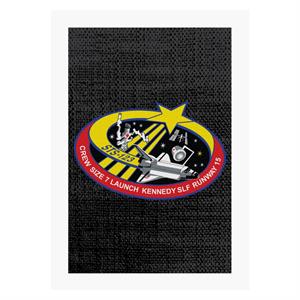 NASA STS 123 Space Shuttle Endeavour Mission Patch A4 Print