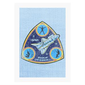 NASA Spacelab Life Sciences 1 Mission Badge Distressed A4 Print