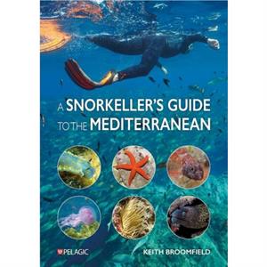 A Snorkellers Guide to the Mediterranean by Keith Broomfield