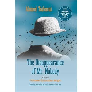 The Disappearance of Mr. Nobody by Ahmed Taibaoui