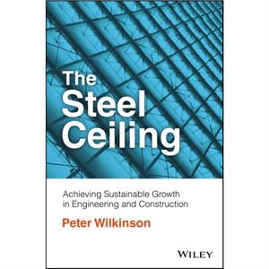 The Steel Ceiling by Peter Wilkinson