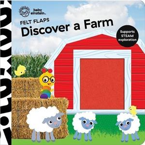 Baby Einstein Discover A Farm Felt Flaps by P I Kids