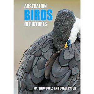 Australian Birds in Pictures by Duade Paton