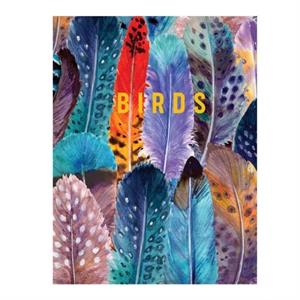 Birds by Reed New Holland Publishers