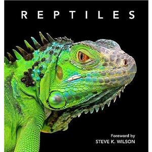 Reptiles by Steve Wilson