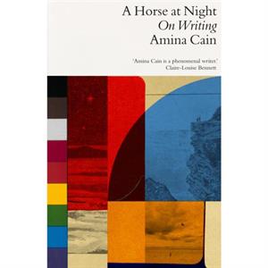 A Horse at Night by Amina Cain