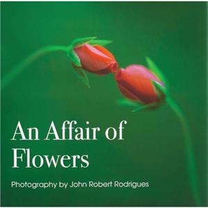 An Affair of Flowers by David Hume Kennerly