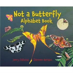 Not a Butterfly Alphabet Book by Shennen Bersani