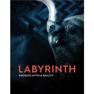 Labyrinth by Andrew Shapland