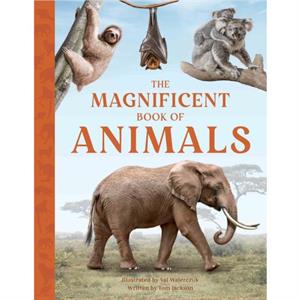 The Magnificent Book of Animals by Tom Jackson