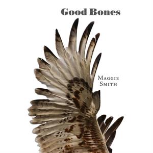 Good Bones by Maggie Smith