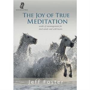 The joy of True Meditation by Jeff Foster
