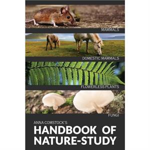 The Handbook Of Nature Study in Color  Mammals and Flowerless Plants by Anna Comstock