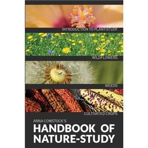 The Handbook Of Nature Study in Color  Wildflowers Weeds  Cultivated Crops by Anna B Comstock