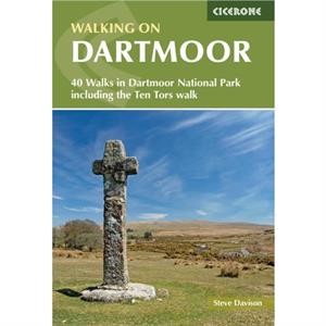 Walking on Dartmoor by Steve Davison