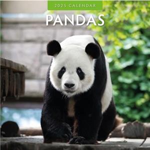 Pandas 2025 Square Wall Calendar by Red Robin