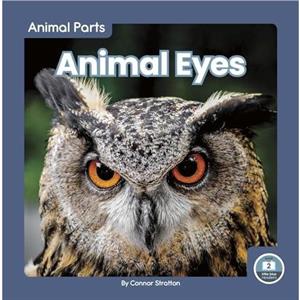 Animal Eyes by Connor Stratton