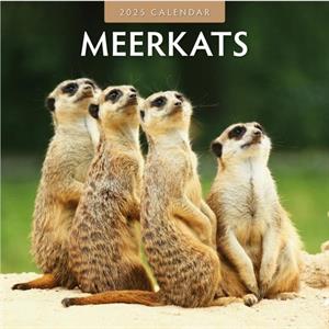 Meerkats 2025 Square Wall Calendar by Red Robin