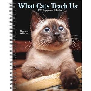 What Cats Teach Us 2025 6.5 X 8.5 Engagement Calendar by Willow Creek Press