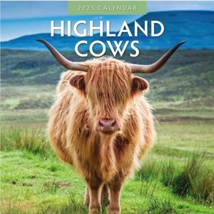 Highland Cows 2025 Square Wall Calendar by Red Robin