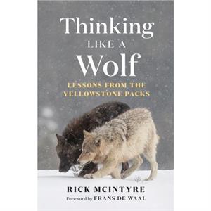 Thinking Like a Wolf by Rick McIntyre