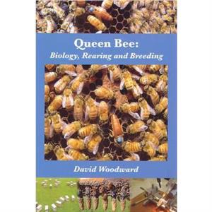 Queen Bee by David Woodward