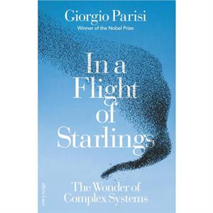 In a Flight of Starlings by Giorgio Parisi