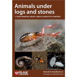 Animals under logs and stones by Charlotte Wheater