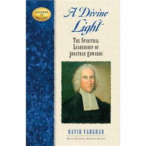 A Divine Light by David J. Vaughan