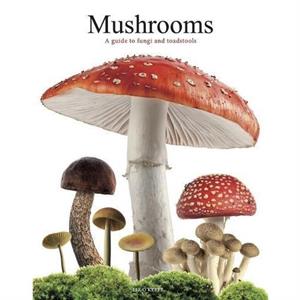 Mushrooms by Liz OKeefe