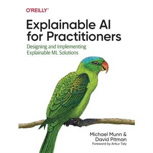 Explainable AI for Practitioners by David Pitman