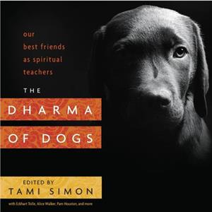 Dharma of Dogs by Simon & Tami 